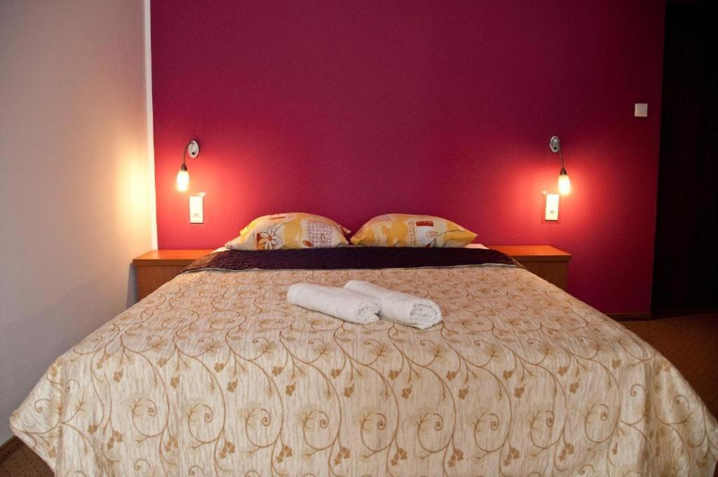 Willa Stenia Center Apartamenty ヴィスワ エクステリア 写真