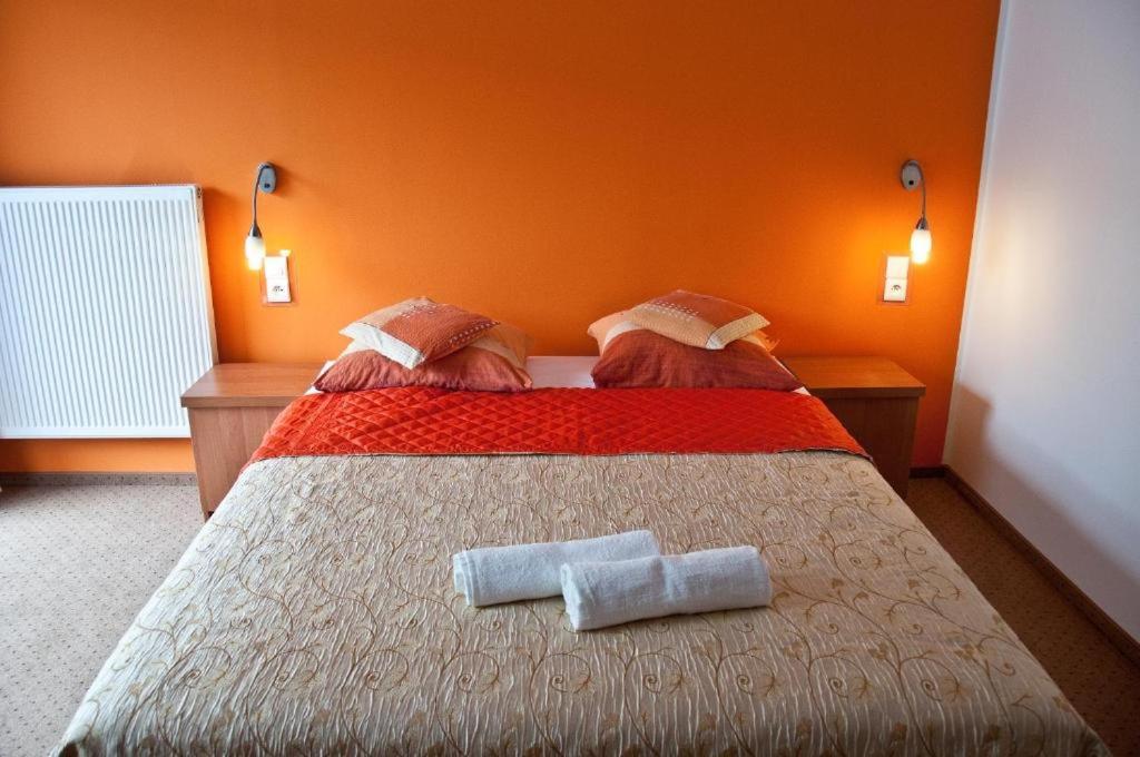 Willa Stenia Center Apartamenty ヴィスワ エクステリア 写真