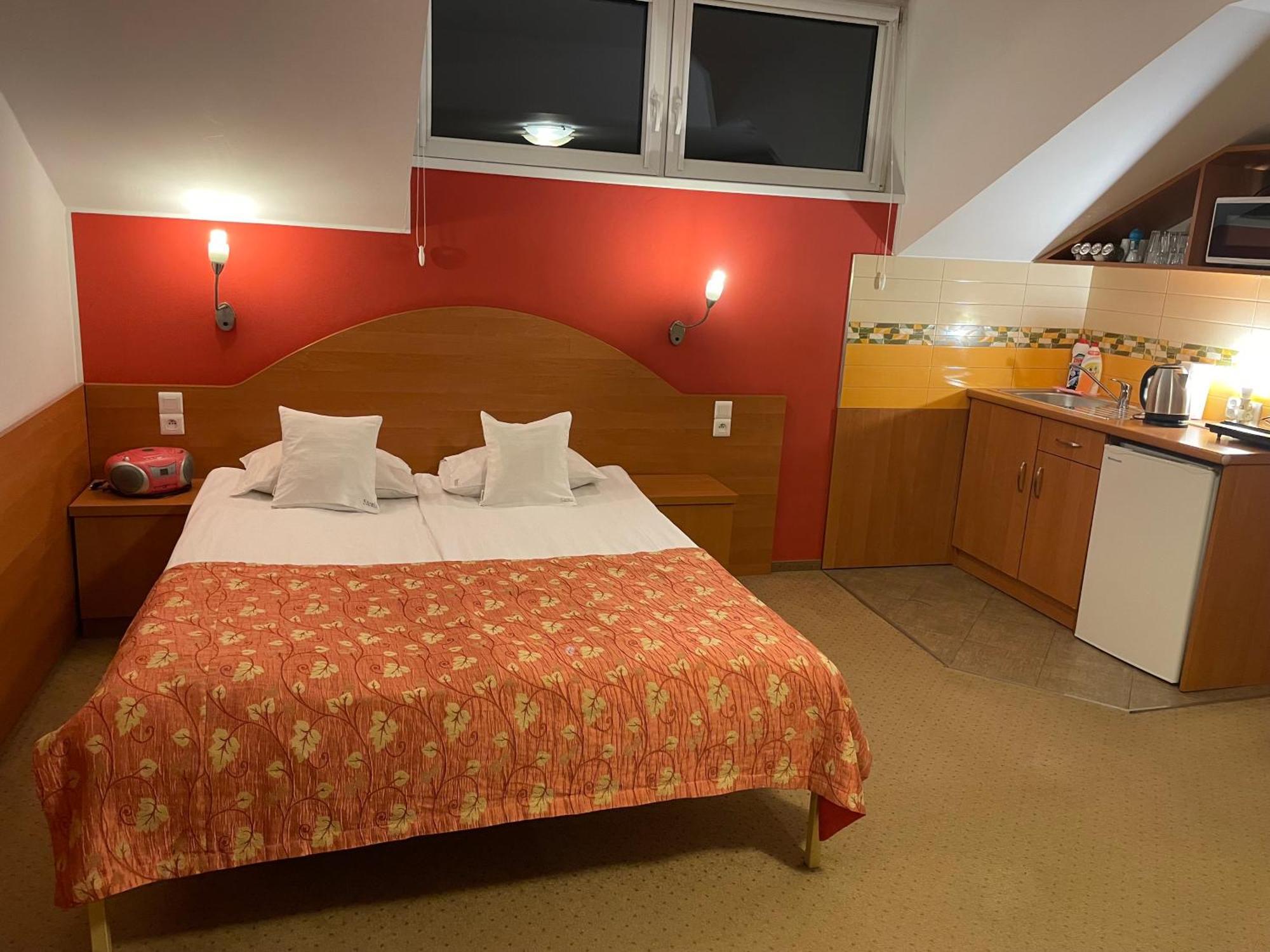 Willa Stenia Center Apartamenty ヴィスワ エクステリア 写真